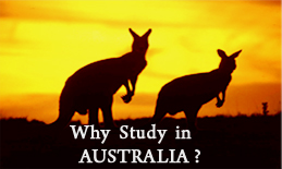 Why Study in Australia